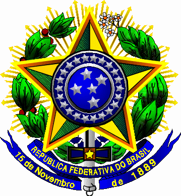 Governo divulga texto da Lei Orgânica »